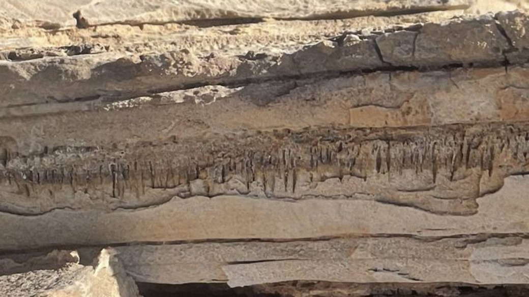 Descubierta una red de túneles microscópicos en el desierto de Namibia