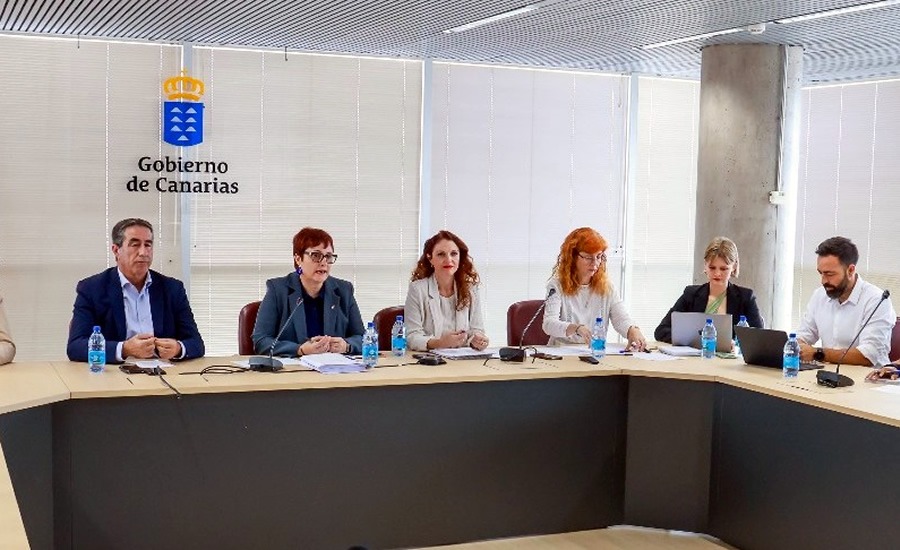 Miembros del Gobierno de Canarias en el pleno del Foro de Inmigración.
