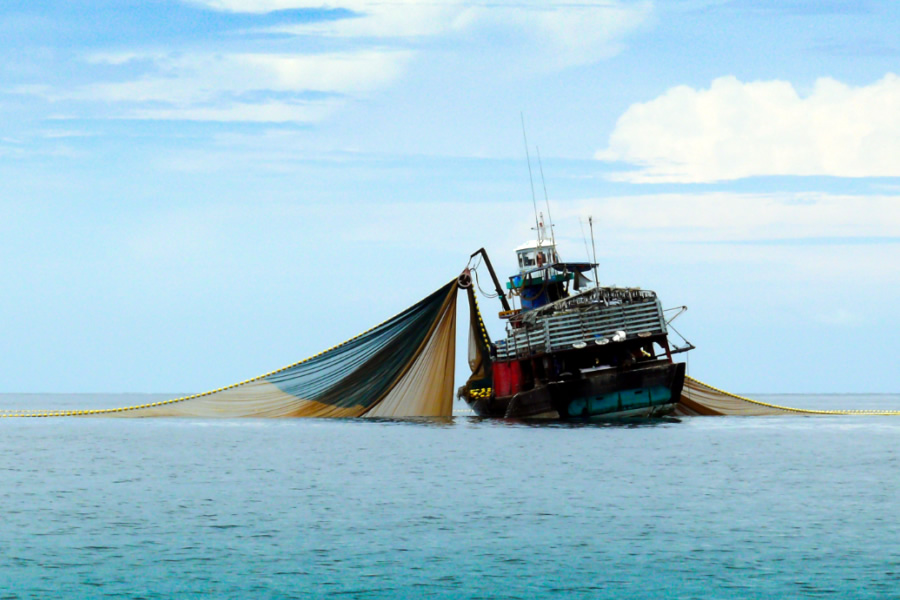 Tres años después de la renovación de la firma, Gabón rescinde el contrato de pesca con la UE.