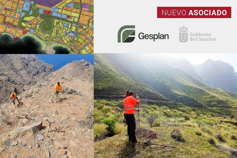 La incorporación de Gesplan, refuerza los vínculos Senegal-Canarias.