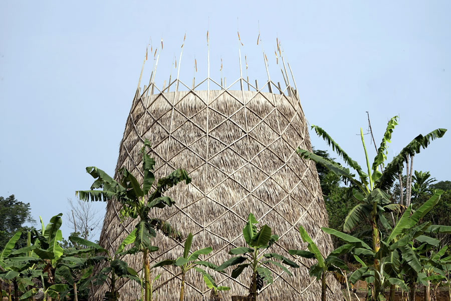 Warka Towers, una solución ingeniosa.