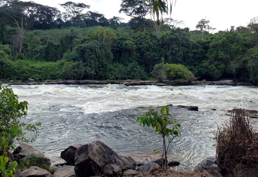 Río Ogooué.
