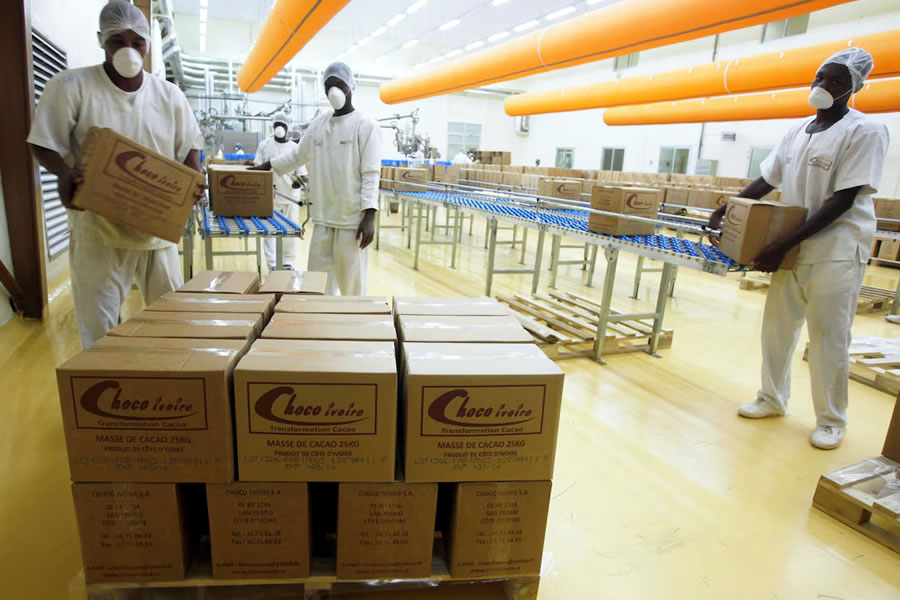 Ingeniería china para la producción de cacao en Costa de Marfil.
