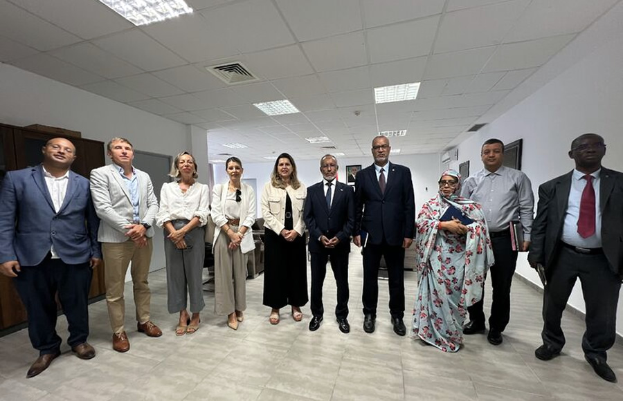 Autoridades canarias y mauritanas, junto a representantes del consorcio canario Globalsanihub y la Federación Nacional de la Salud de Mauritania, durante la firma de los acuerdos.
