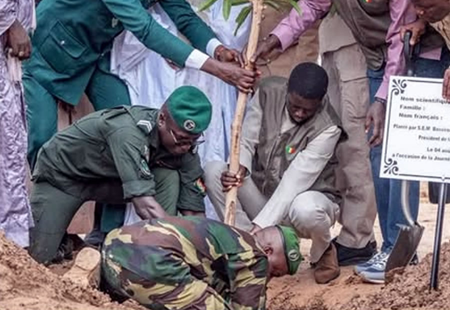 Bassirou Diomaye Faye quiere reforzar la protección de los bosques y fomentar la cultura del replantado. (Foto: Facebook Hello Sénégal)