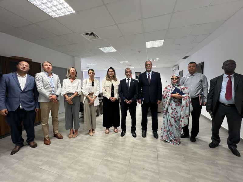 Representantes políticos y directivos sanitarios de Mauritania y Canarias durante el encuentro.