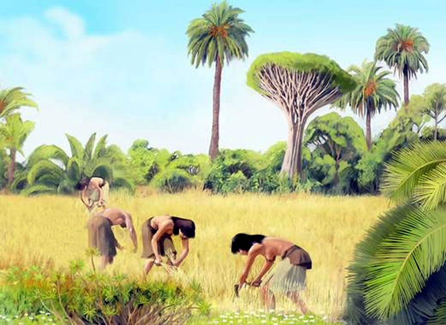 Los primeros pobladores de Canarias llegaron del norte de África.