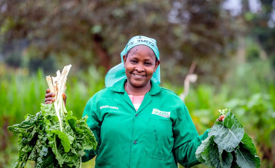 El proyecto Strak promueve el uso de estiércol orgánico, el acolchado de cultivos o la aplicación moderada de fertilizantes. (Foto: Farm Africa / Bertha Lutome)