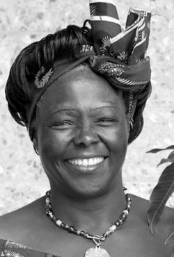 Wangari Maathai (Kenia): Bióloga, ecologista y activista; primera mujer africana en recibir el Premio Nobel de la Paz 2004.
